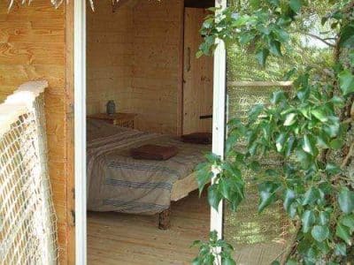 Cabane en bois au cœur de la nature, avec une vue sur la verdure environnante.