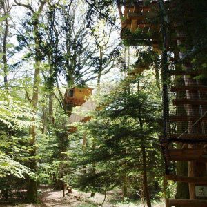 Cabane perchée dans les arbres en Bretagne, entourée de verdure luxuriante.
