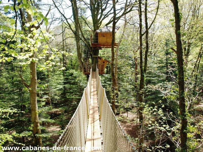 Cabane perchée dans les arbres en Bretagne, accessible par un pont suspendu.
