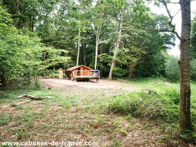 Cabane en bois perchée dans les arbres, entourée de verdure en Bretagne.