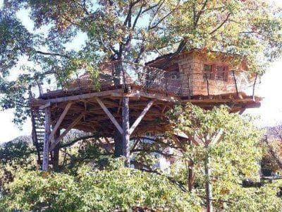 Cabane perchée dans un arbre, entourée de verdure, offrant une vue panoramique.