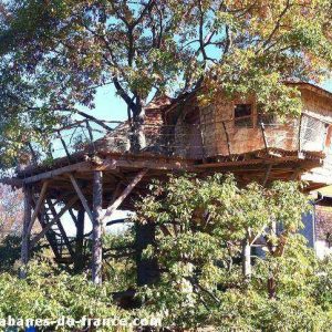 Cabane perchée dans un arbre, entourée de verdure, offrant une vue imprenable.