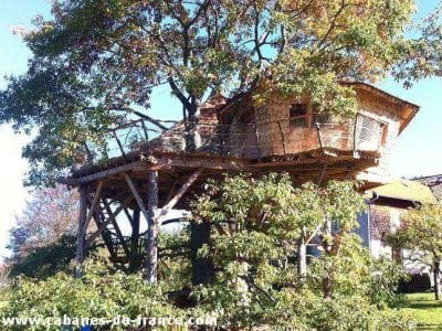 Cabane perchée dans un arbre, entourée de verdure, offrant une vue imprenable.
