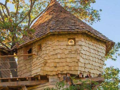 Cabane perchée en bois avec un toit en ardoise, entourée darbres verdoyants.