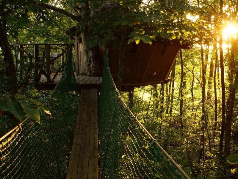 Cabane dans les arbres, perchée au-dessus du sol, entourée de verdure.
