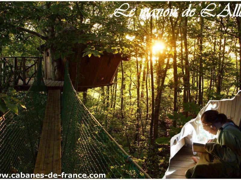 Cabane perchée en Bretagne, entourée darbres, avec un rayon de soleil doré.