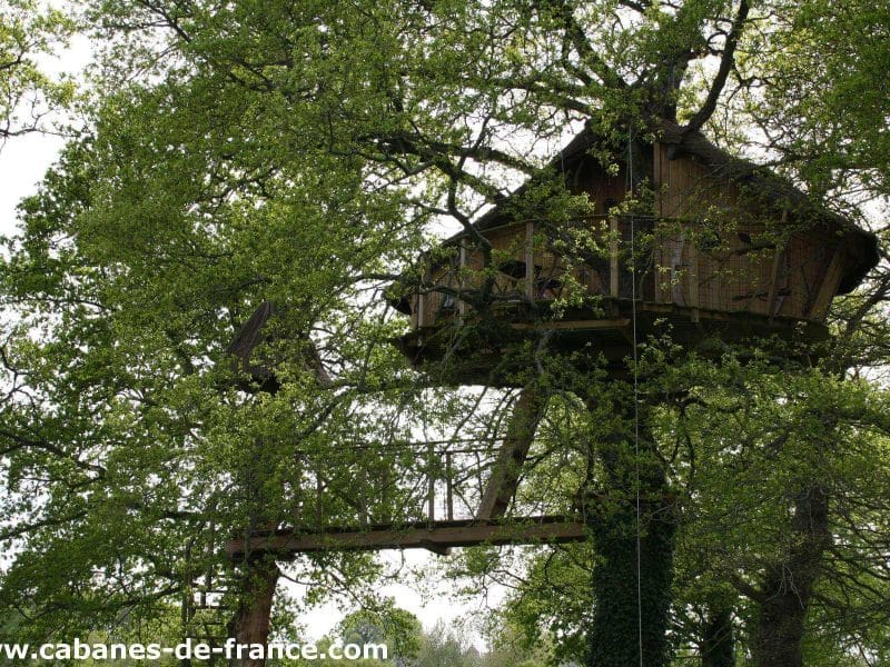 Cabane perchée dans un arbre en Bretagne, entourée de verdure luxuriante.