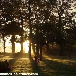 Cabanes perchées en Bretagne, baignées de lumière dorée au lever du soleil.