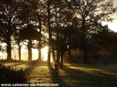 Cabanes perchées en Bretagne, baignées de lumière dorée au lever du soleil.