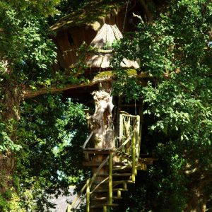 Cabane dans les arbres en Bretagne, perchée au cœur dune verdure luxuriante.