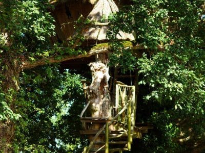 Cabane dans les arbres en Bretagne, perchée au cœur dune verdure luxuriante.