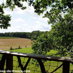 Cabane perchée en Bretagne, offrant une vue panoramique sur la campagne verdoyante.
