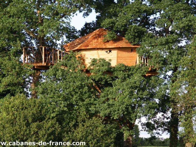 Cabane perchée en bois dans les arbres, entourée de verdure luxuriante.