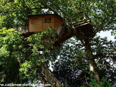 Cabane perchée dans un arbre en Bretagne, entourée de verdure luxuriante.