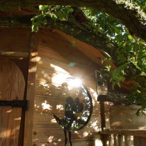Cabane en bois suspendue en Bretagne, entourée de verdure et éclairée par le soleil.