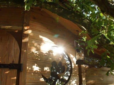 Cabane en bois suspendue en Bretagne, entourée de verdure et éclairée par le soleil.
