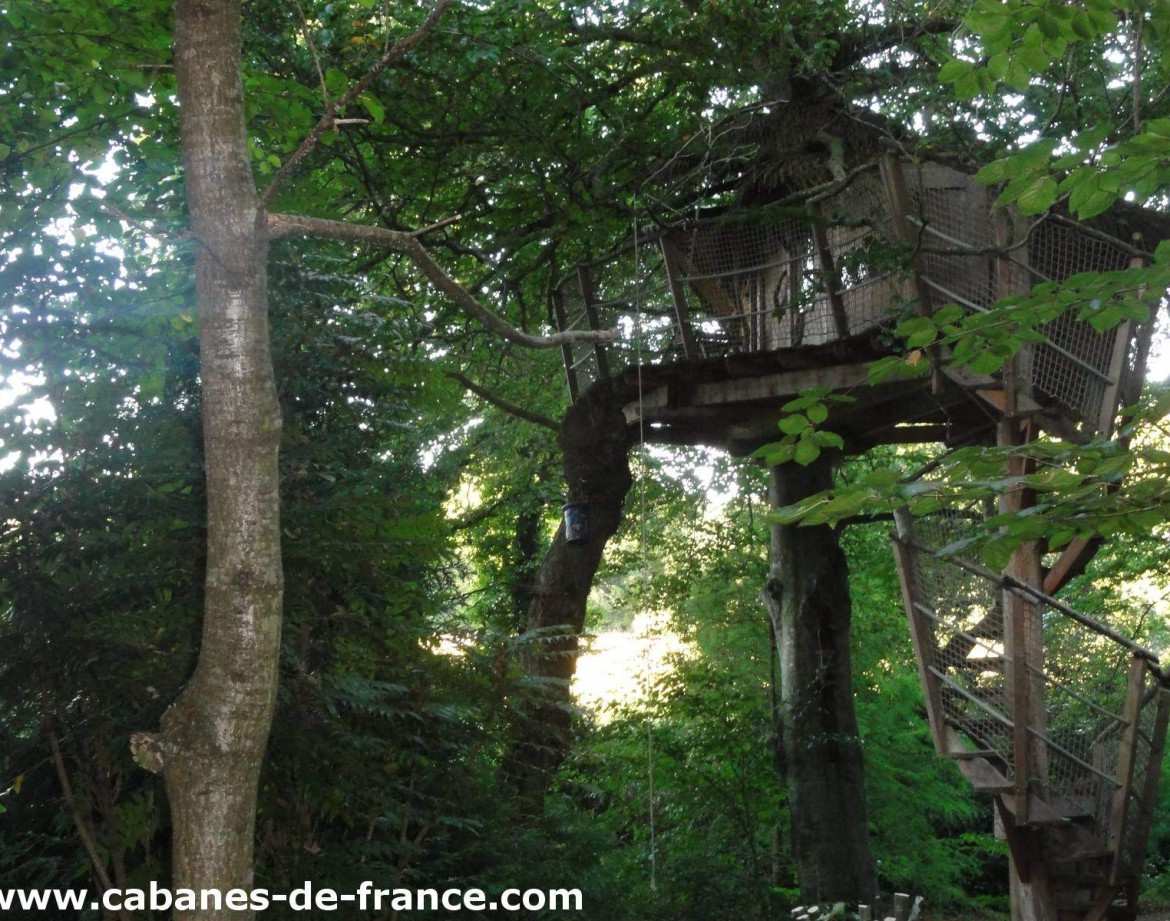 Cabane perchée dans un arbre, entourée de feuillage verdoyant en Bretagne.