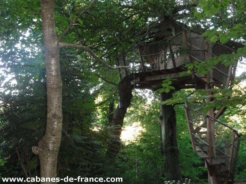 Cabane perchée dans un arbre, entourée de feuillage verdoyant en Bretagne.