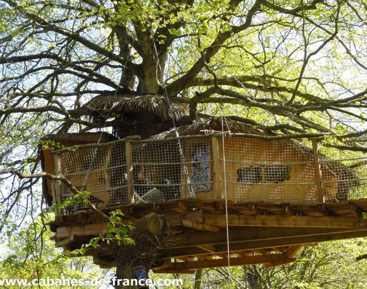 Cabane perchée dans un arbre en Bretagne, entourée de feuillage verdoyant.