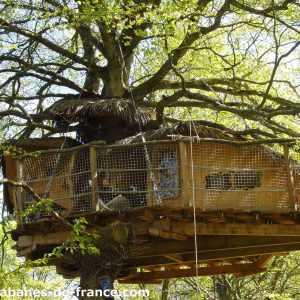 Cabane perchée dans un arbre en Bretagne, entourée de feuillage verdoyant.