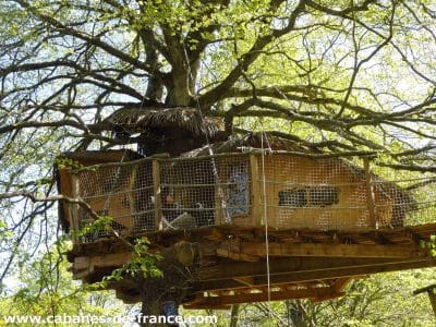 Cabane perchée dans un arbre en Bretagne, entourée de feuillage verdoyant.