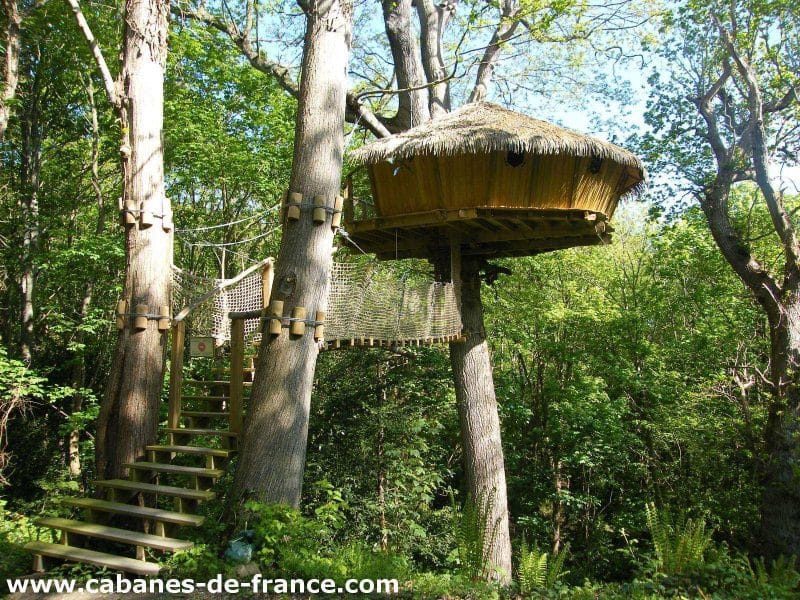 Cabane perchée dans les arbres en Bretagne, avec un toit en chaume et accès par une échelle.