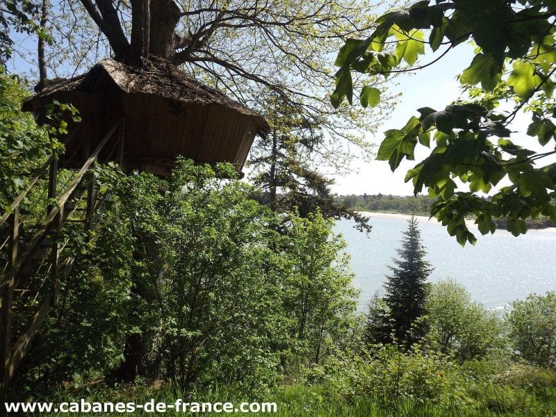 Cabane perchée dans un arbre, entourée de verdure, vue sur leau scintillante.
