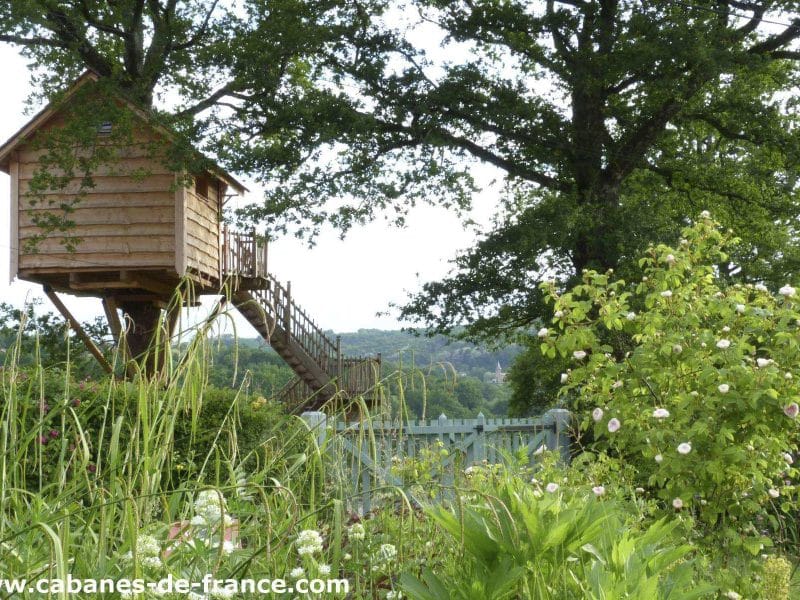 Cabane dans les arbres, perchée entre les branches, entourée de verdure luxuriante.