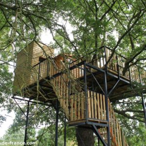 Cabane dans les arbres, perchée au milieu des feuillages verdoyants.