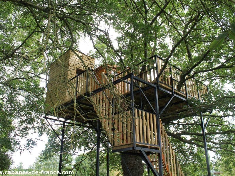 Cabane dans les arbres, perchée au milieu des feuillages verdoyants.