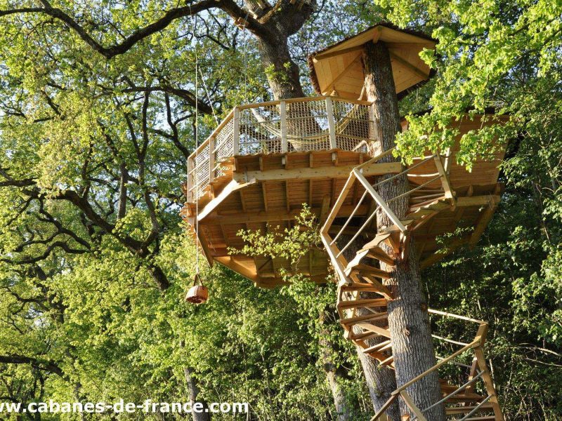 Cabane dans les arbres, perchée au milieu dune forêt verdoyante.