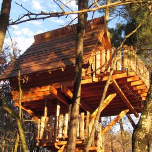 Cabane dans les arbres en bois, perchée entre les branches, avec un ciel bleu en arrière-plan.