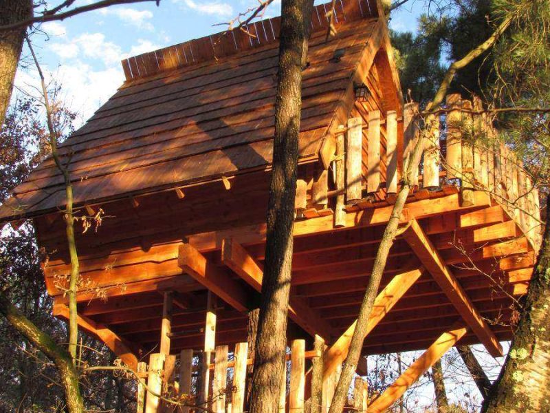 Cabane perchée dans les arbres, offrant une vue imprenable sur la nature environnante.