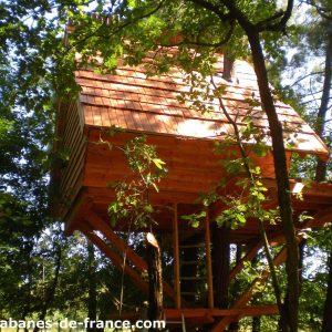 Cabane perchée en bois, entourée darbres verdoyants en Auvergne-Rhône-Alpes.