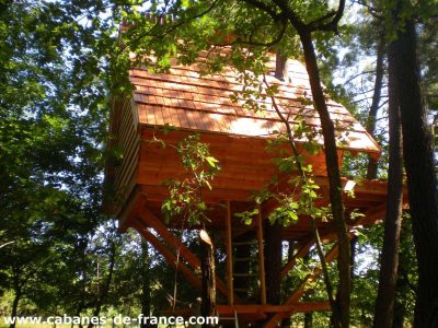 Cabane perchée en bois, entourée darbres verdoyants en Auvergne-Rhône-Alpes.
