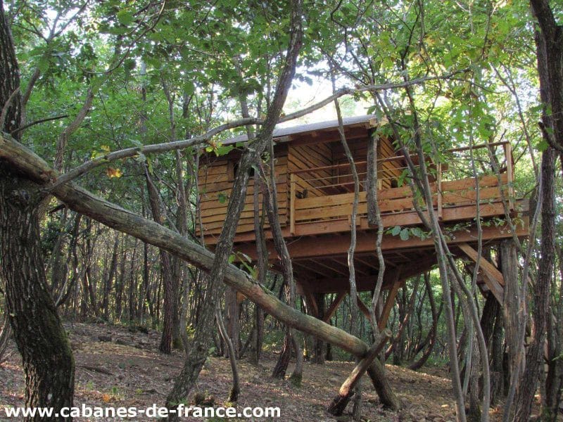 Cabane perchée en bois, entourée darbres, offrant une vue sur la nature.