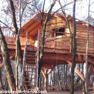 Cabane en bois perchée dans les arbres, entourée de feuillage automnal.