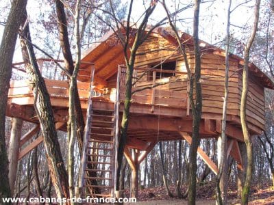 Cabane en bois perchée dans les arbres, entourée de feuillage automnal.