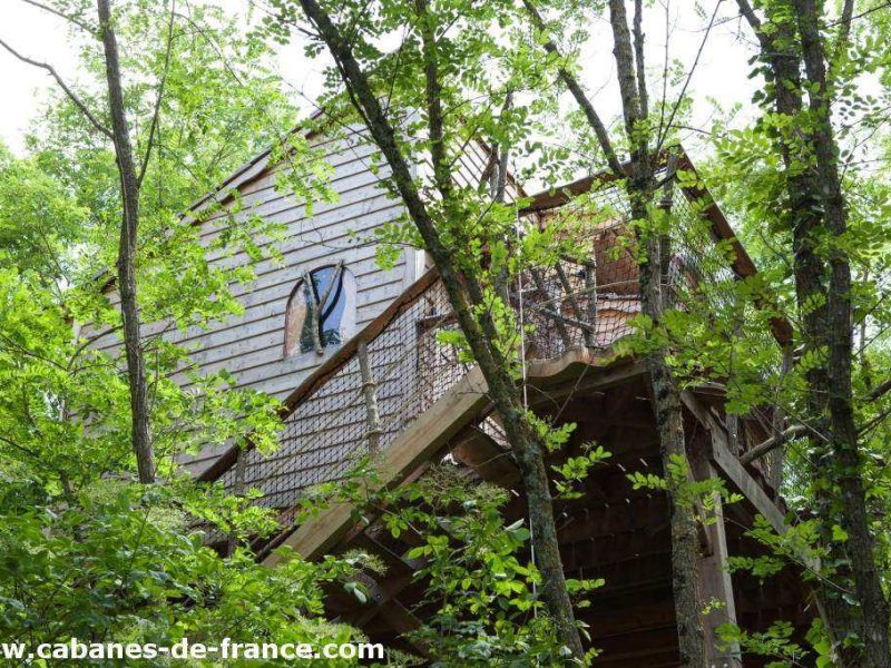 Cabane perchée dans les arbres, entourée de verdure luxuriante et paisible.