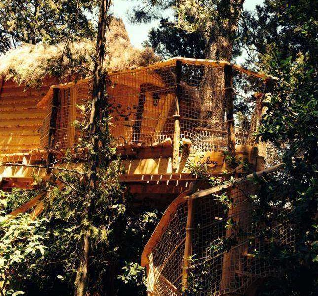 Cabane dans les arbres, perchée au milieu des feuillages luxuriants.