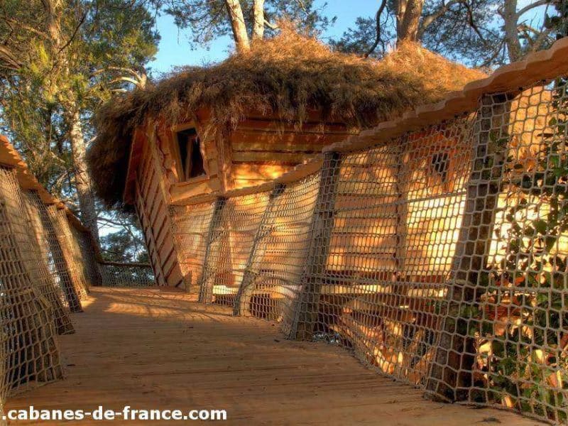 Cabane perchée en bois, entourée de verdure, avec une passerelle en bois.