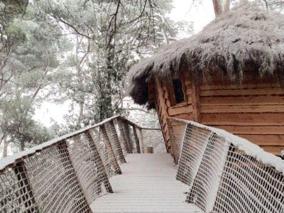Cabane perchée en bois avec toit de chaume, accessible par un chemin suspendu.