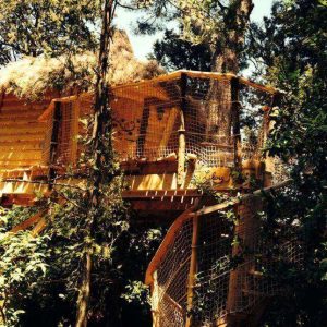 Cabane dans les arbres en Languedoc-Roussillon, perchée au milieu des feuillages.