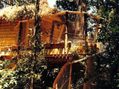 Cabane dans les arbres en Languedoc-Roussillon, perchée au milieu des feuillages.