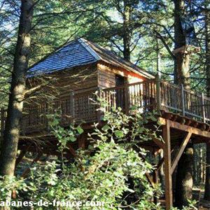 Cabane perchée en bois, entourée darbres, avec une terrasse ensoleillée.
