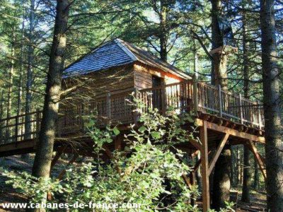 Cabane perchée en bois dans les arbres, entourée de verdure au Languedoc-Roussillon.