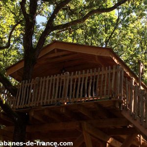 Cabane perchée dans les arbres, avec balcon en bois et vue sur la forêt verdoyante.