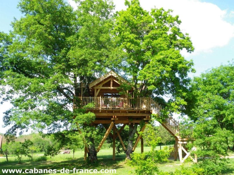 Cabane dans les arbres en Aquitaine, perchée au milieu dun feuillage verdoyant.
