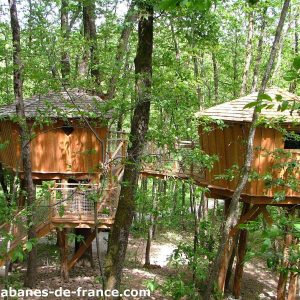 Kit de cabane en rondins pour oiseaux -  France