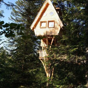 Cabane perchée en bois dans les arbres, entourée dune forêt verdoyante en Auvergne.